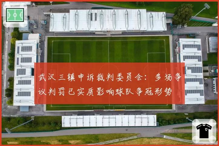 武汉三镇申诉裁判委员会：多场争议判罚已实质影响球队争冠形势
