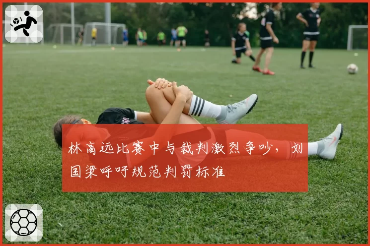 林高远比赛中与裁判激烈争吵，刘国梁呼吁规范判罚标准