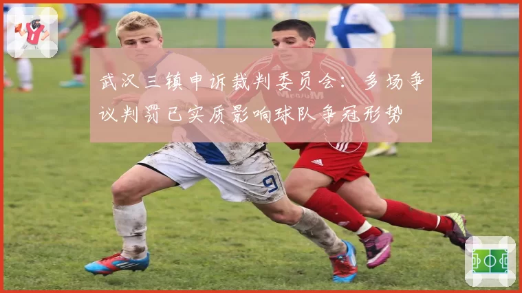 武汉三镇申诉裁判委员会：多场争议判罚已实质影响球队争冠形势