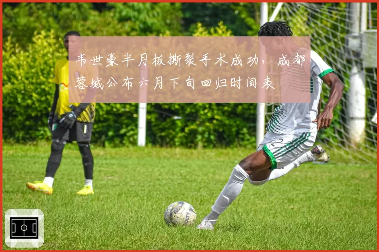 韦世豪半月板撕裂手术成功，成都蓉城公布六月下旬回归时间表
